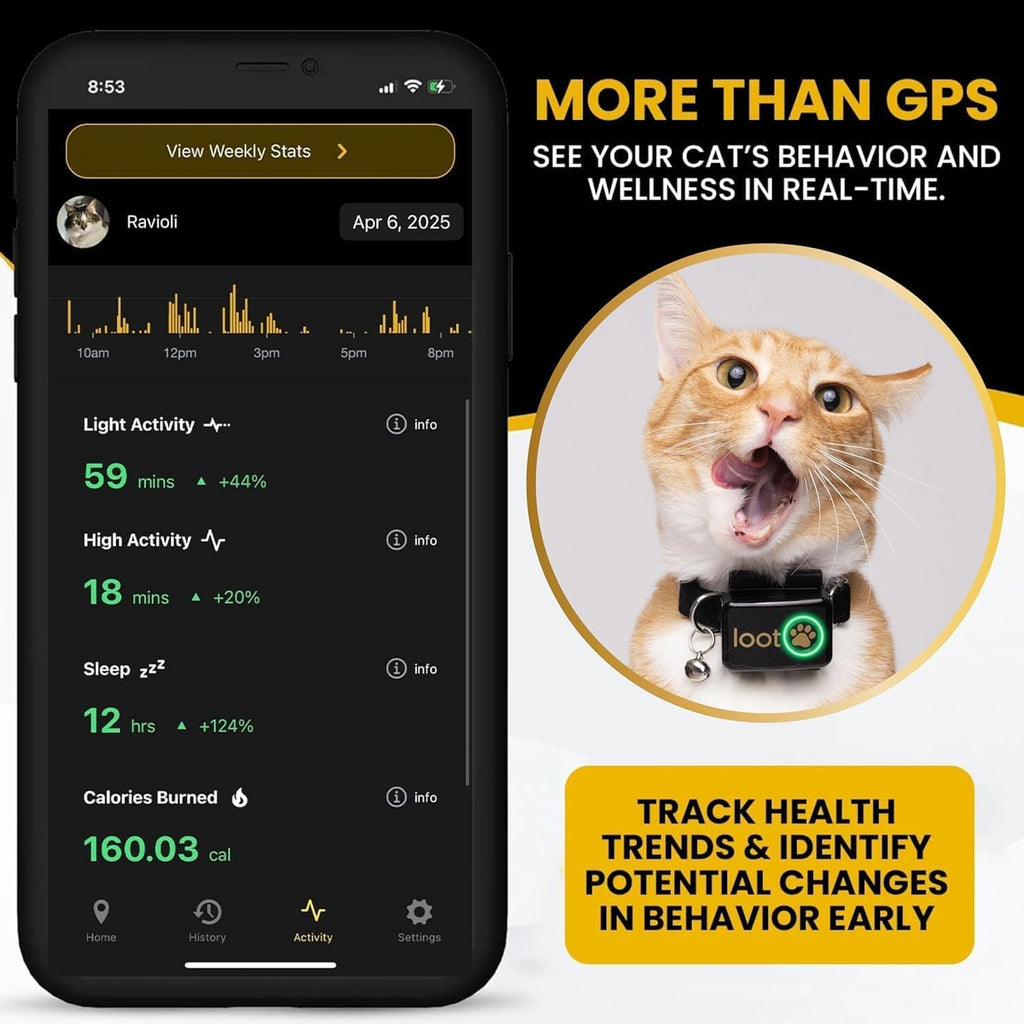 LootPaw+ GPS Cat Tracker Collar | Real Time Cat GPS Tracker with App & Vet Support | Lightweight Pet Tracker for Cats, Health & Activity Monitor | 60-Day Free Trial