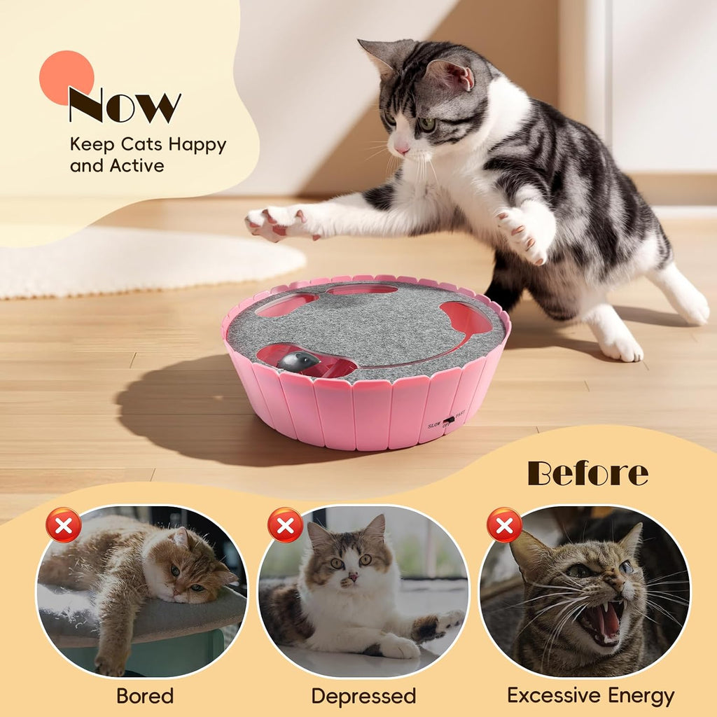 Pawaboo Interactive Cat Toy with Running Mouse, Automatic Track Kitten Toy