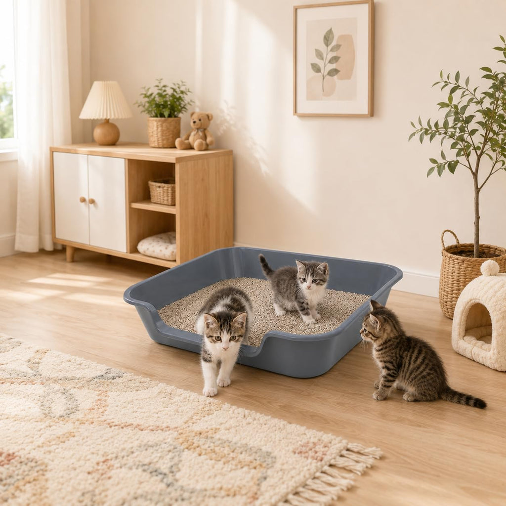 Extra Large Low Entry ABS Cat Litter Box, Grey, 24" L x 20" W, 2 Pack | Durable low entry litter box, non-stick, odor-free, ideal for seniors, kittens, rabbits, large cats and multi-pet homes.