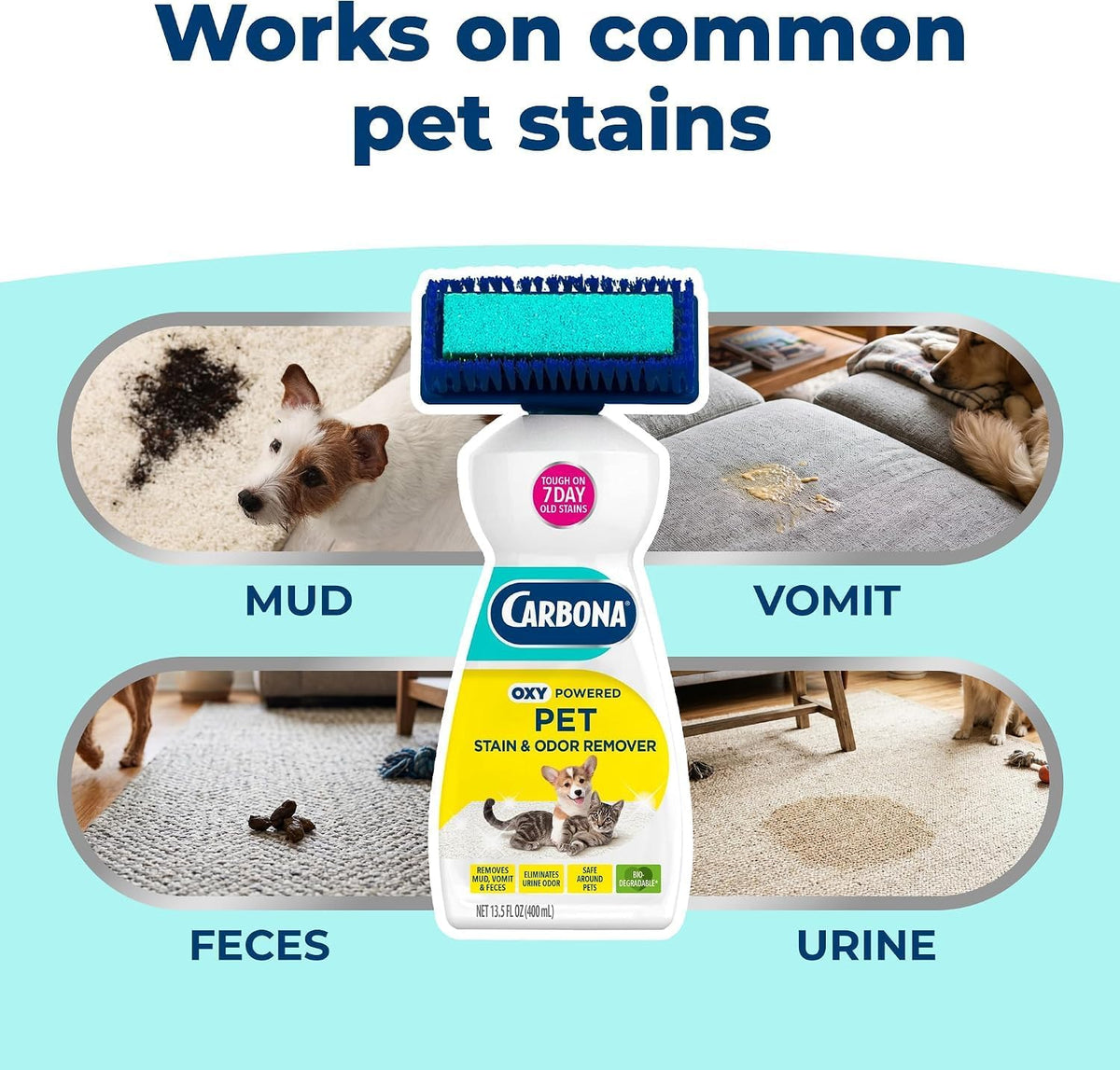 Carbona Oxy-Powered Pet Stain & Odor Remover, 2-in-1 Foaming Carpet Cleaner with Built-In Brush, Targets Urine, Vomit, Mud Messes from Dogs, Cats, 13.5 Oz (Pack of 3)