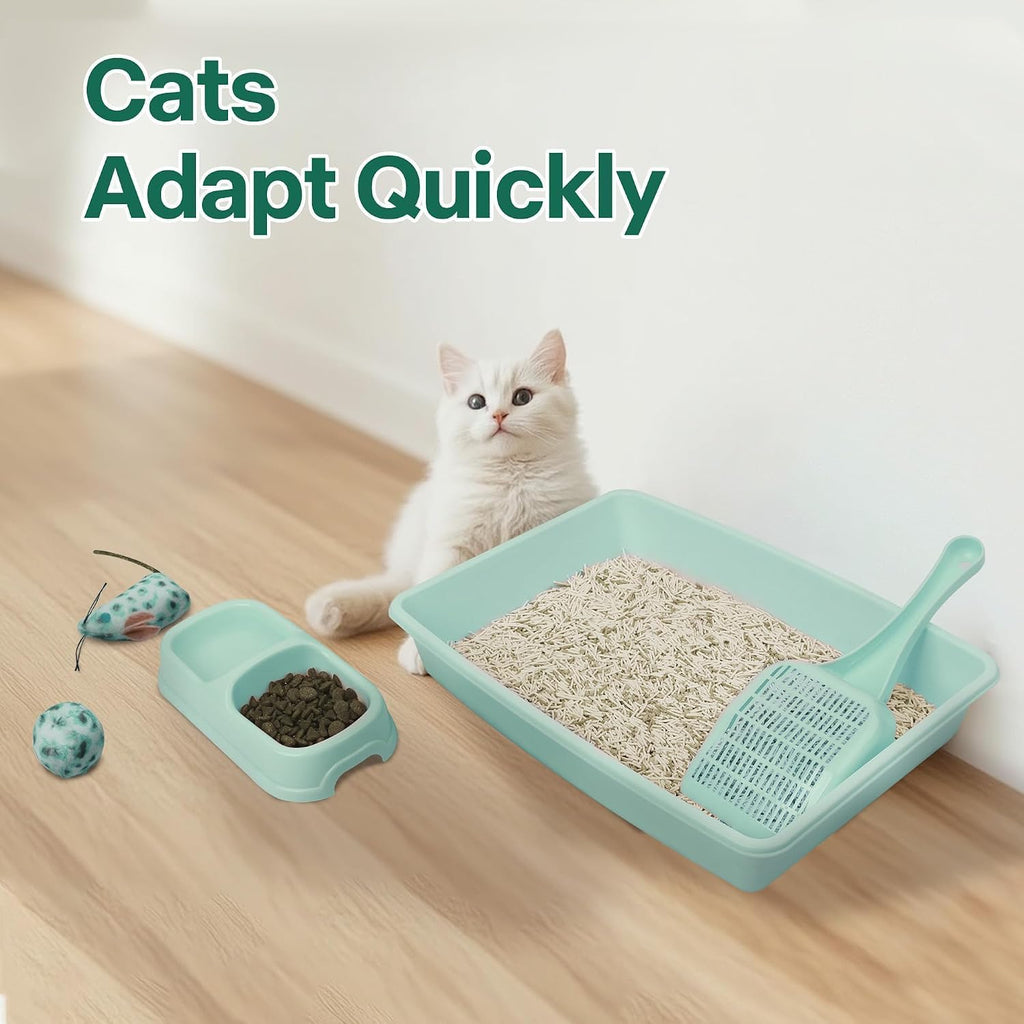 PAWISE Small Cat Litter Box,14.3 x 10.6 x 2.5 Kitten Litter Box Starter Kit,Low Entry,Scoop,Bowls,Cat Mouse Toy and Ball Toy,First Catty Owner Essentials(Green)