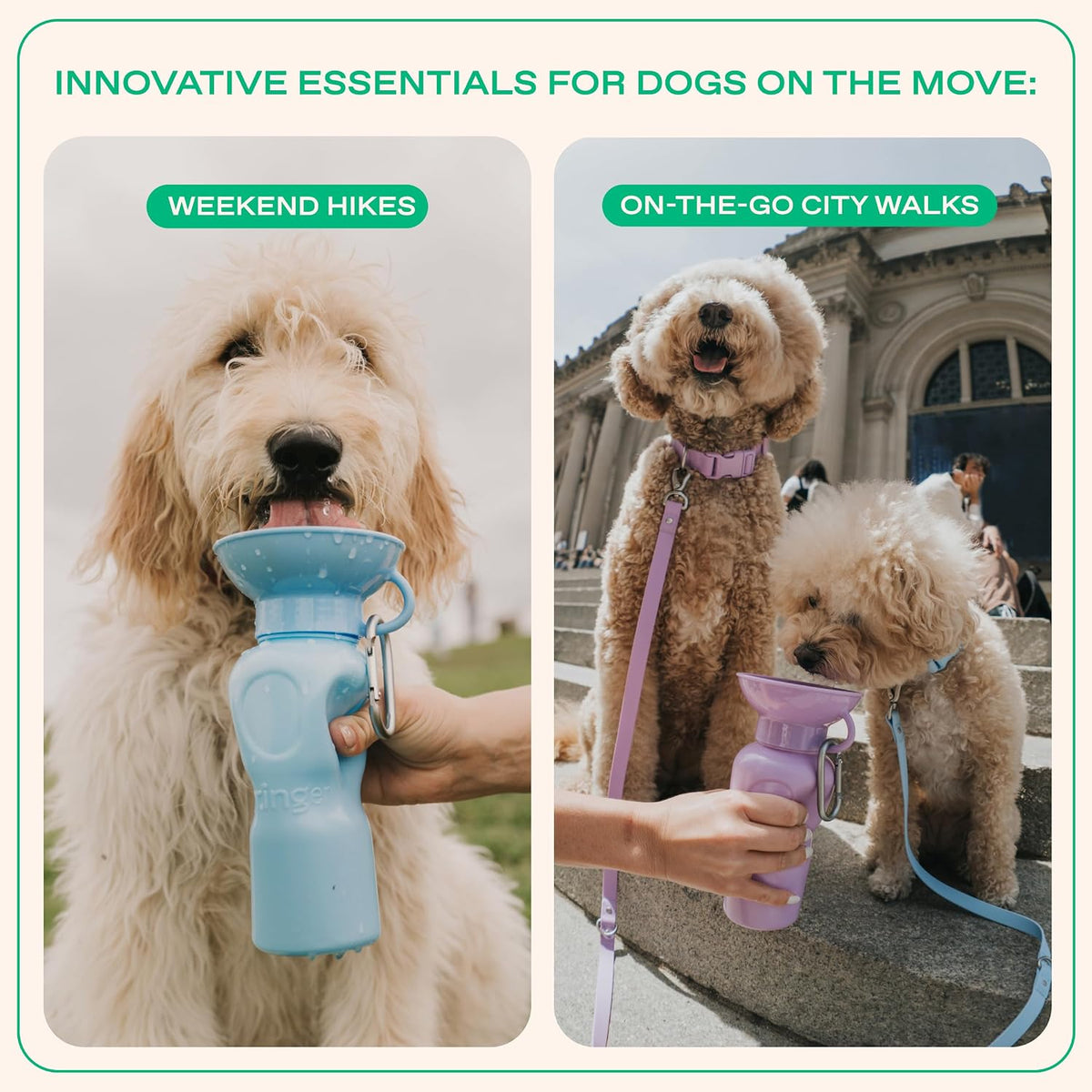 Springer Dog Water Bottle | Portable Travel Drinking Feeder Dispenser for Dogs & Puppies | As Seen on Shark Tank | Leak-Proof Bowl | BPA-Free | Outdoor Walking, Hiking & Travel | 22oz Blue 