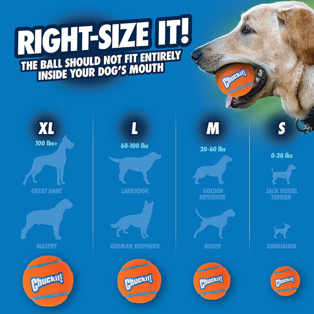 Chuckit! Dog Tennis Ball Dog Toy, Large 3in 1 Pack | Made for Dogs Weighing 0 to 100 Pounds
