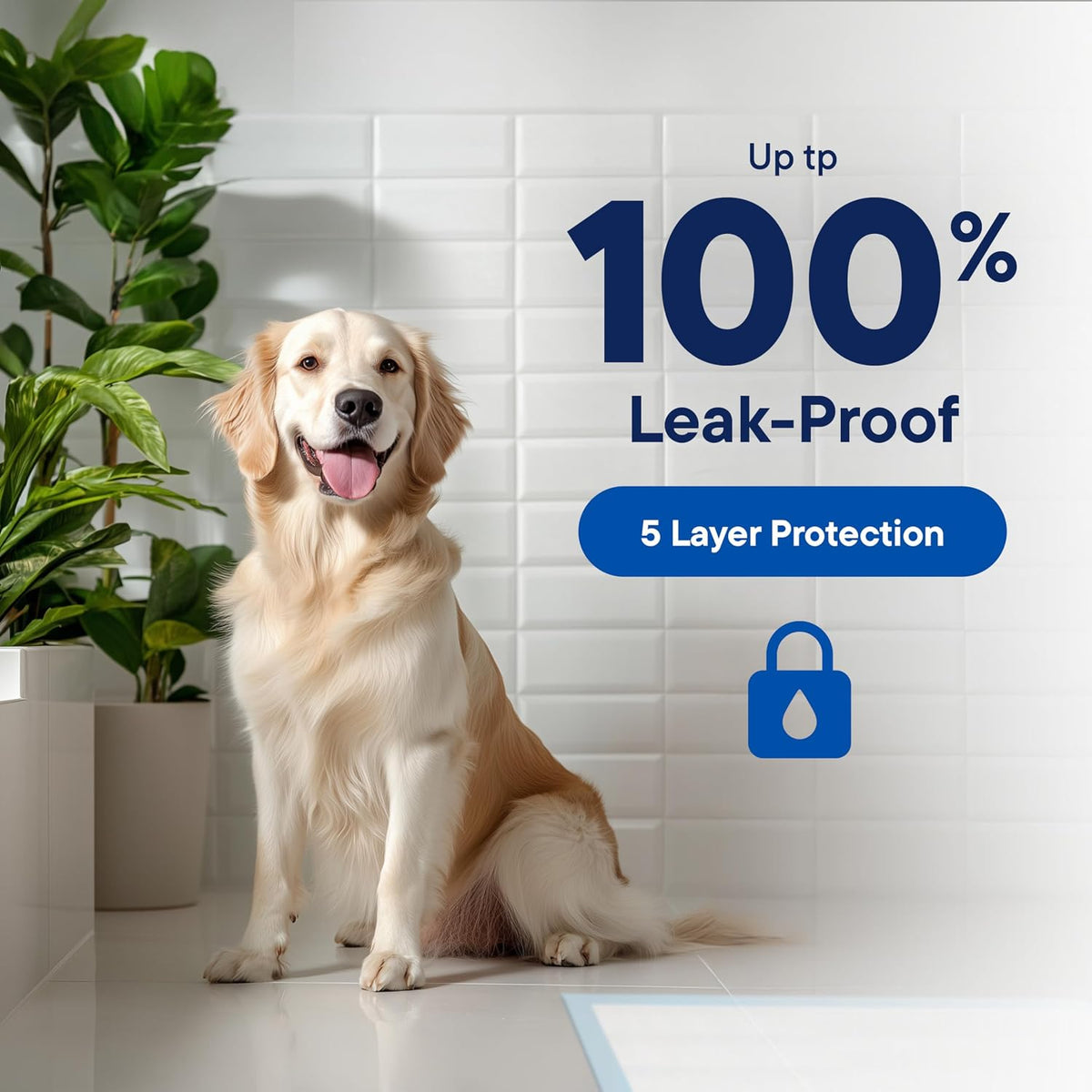 Puppy Pads XL 28x34 [100-COUNT] Dog Pads Extra Large 28" x 34" Leak-Proof Dog Pee Pads - Quick-Dry Puppy Pee Pads Pet Potty Training - Heavy Duty Super Absorbent Wee Wee Pads for Dogs Bulk -100 Pack | Leak-Proof Pee Pads - Extra Large Quick-Dry Dog Pad...