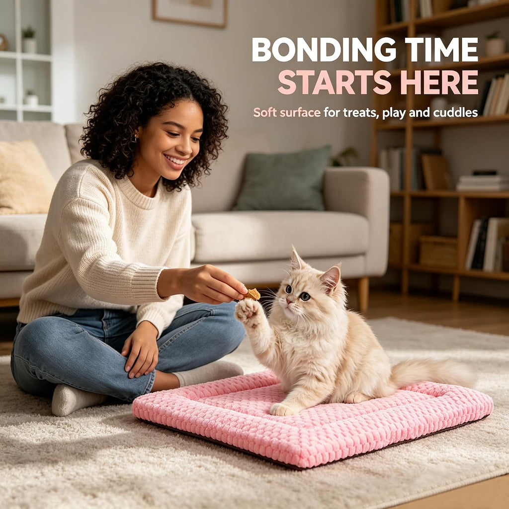 Dog Bed Mat - Dog Crate Pad - Reversible Mat for Pet Comfort - Soft Bed Crate Pads with Dual-Sided Design for All Seasons (Pink, 18" L x 14" W x 1.5" Th)