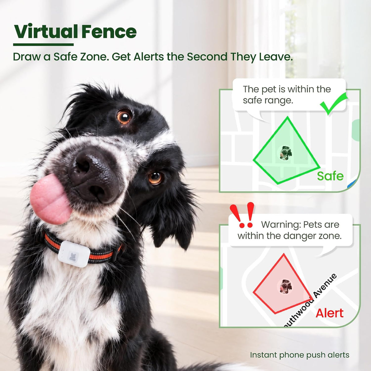 Dog Tracker GPS, Real Time Tracking & Virtual Fence 1-Year Service Included