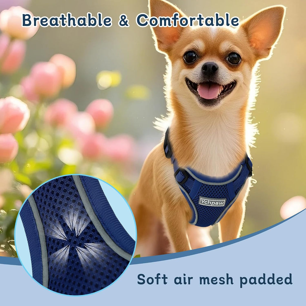 Small Dog Harness and Leash Set, Adjustable Small Sized Pet Vest