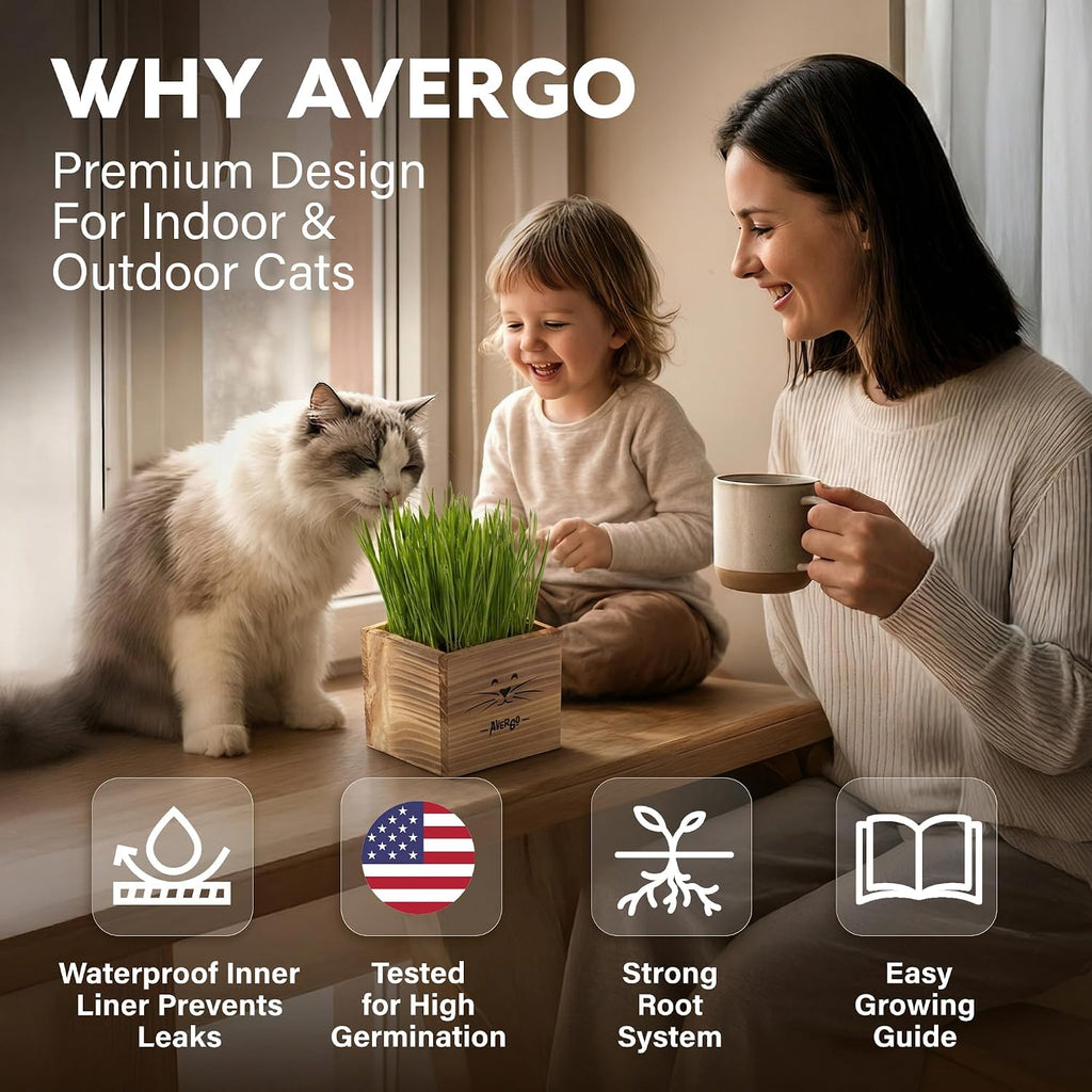 Cat Grass Kit for Indoor Cats – x2 Seed Packets