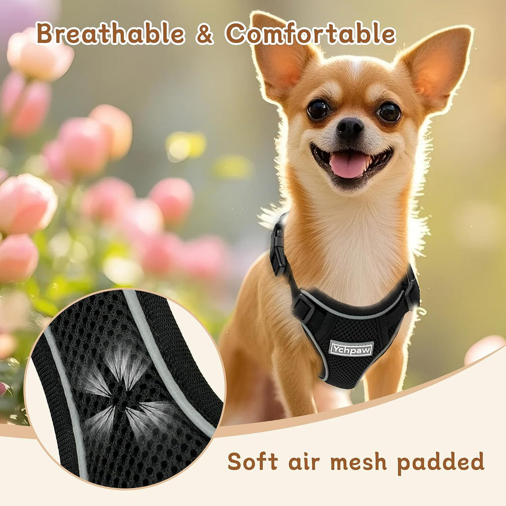 Small Dog Harness and Leash Set, Adjustable Small Sized Pet Vest