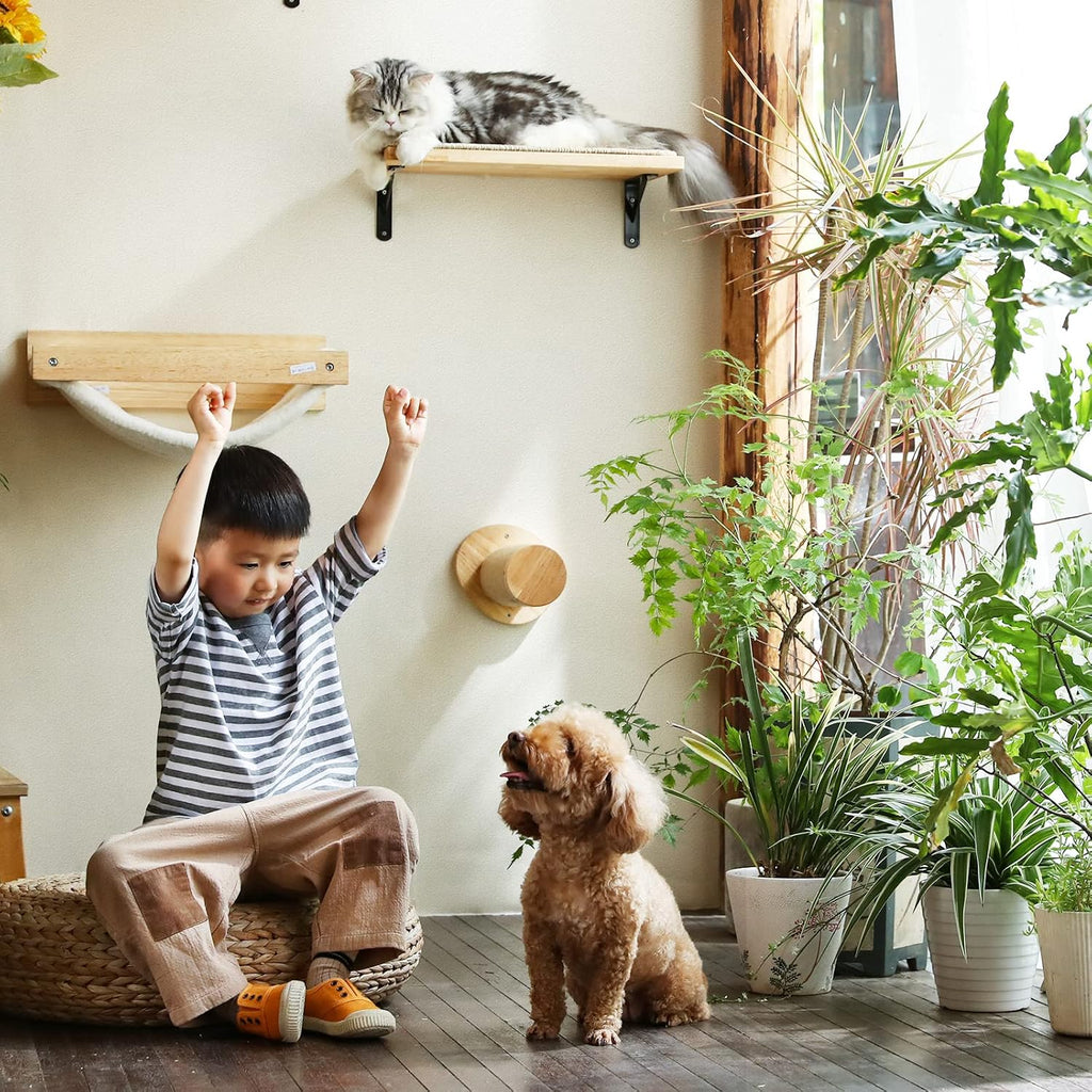 FUKUMARU Cat Wall Steps, 11.8 Inch, 2 of Pack