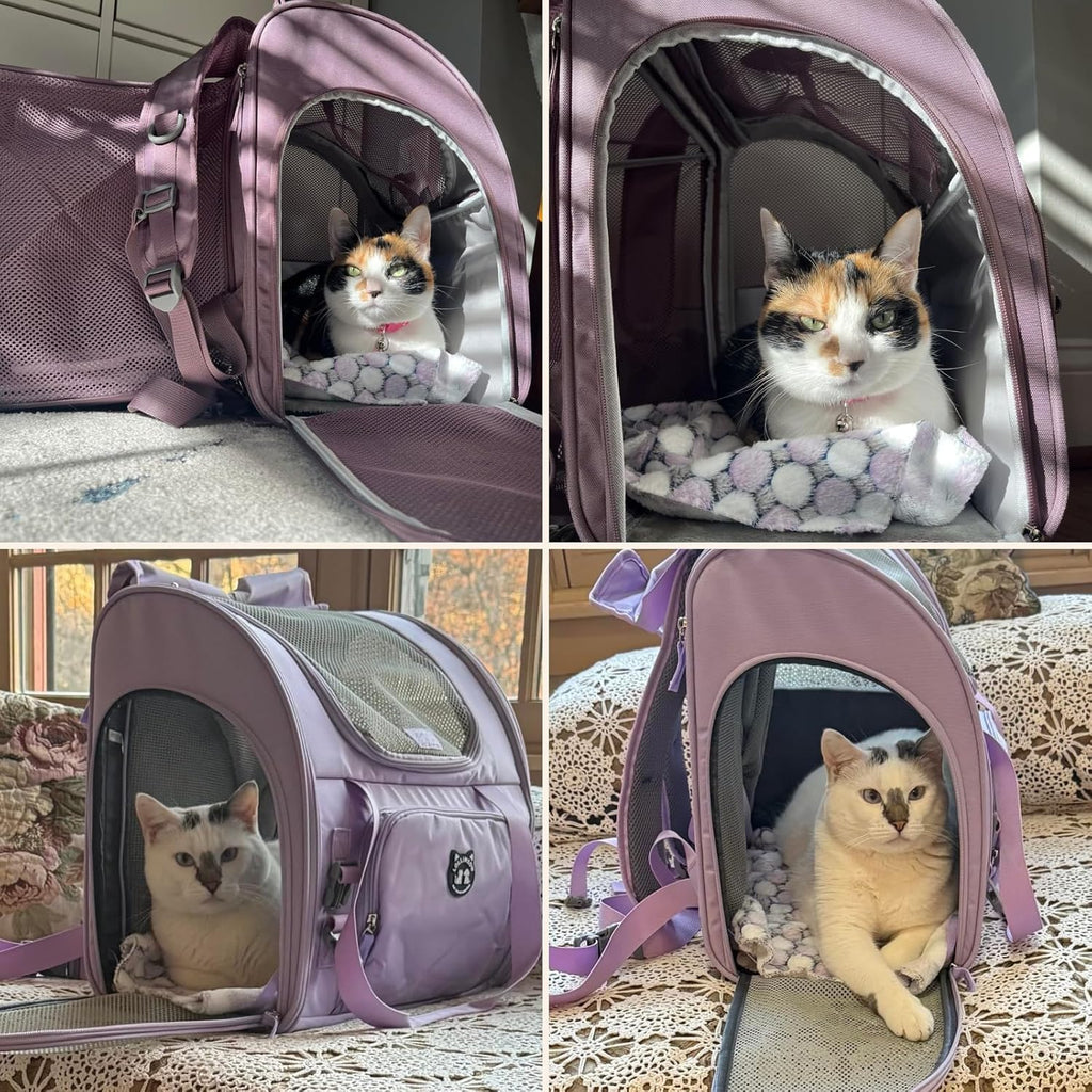 Lollimeow Expandable Large Cat Carrier Backpack, Supports up to 22 lbs