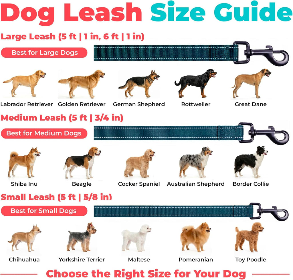 Best Pet Supplies Voyager Nylon Dog Leash - Blue, Small