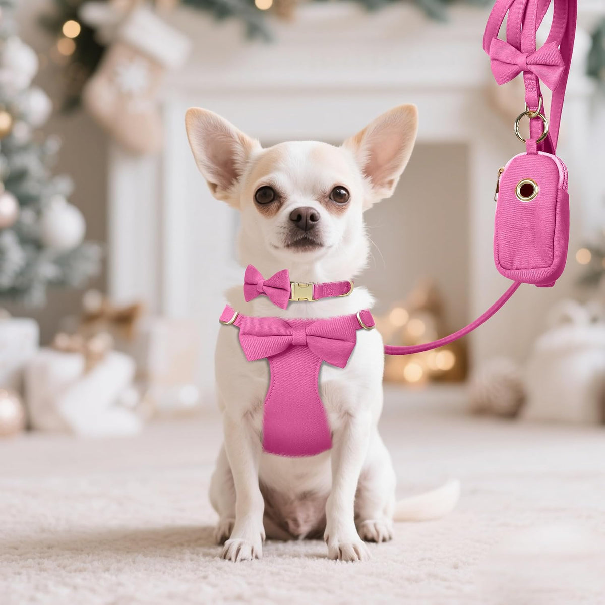 Beirui Cute Small Dog Harness Collar and Leash Set, Rose,XXS,Chest 12-14"