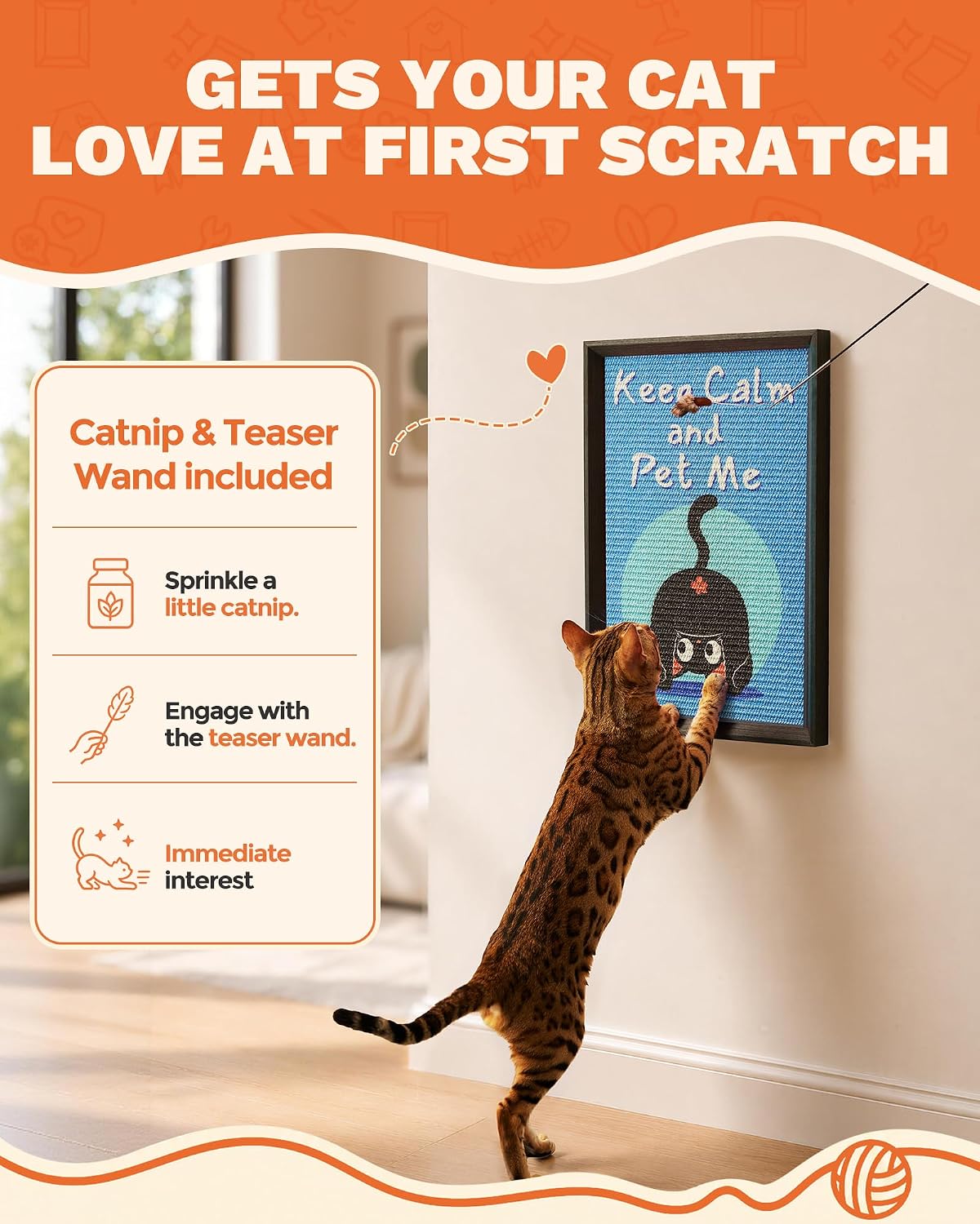 Decorative Wall Art Cat Scratcher Funny Cat Quote Sisal Scratch Pad