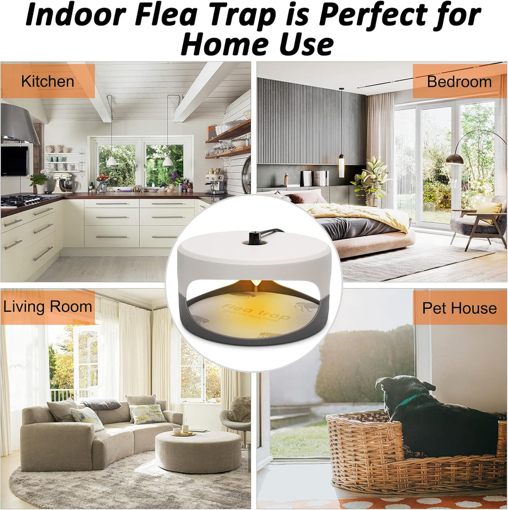 Flea Traps for Inside Your Home, 2 Pack Flea Trap with Sticky Pads Refills & Light Bulb Replacement, Odorless Natural Indoor Bed Bug Light Killer Insect Infestation Treatment Trap for Kids Pet