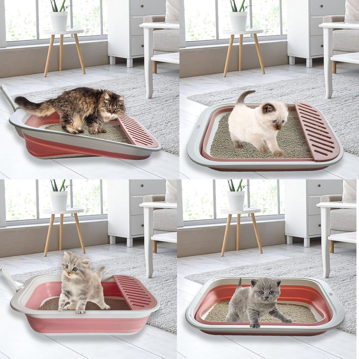 Low Entry Kitten Litter Box Collapsible Shallow Litter Box