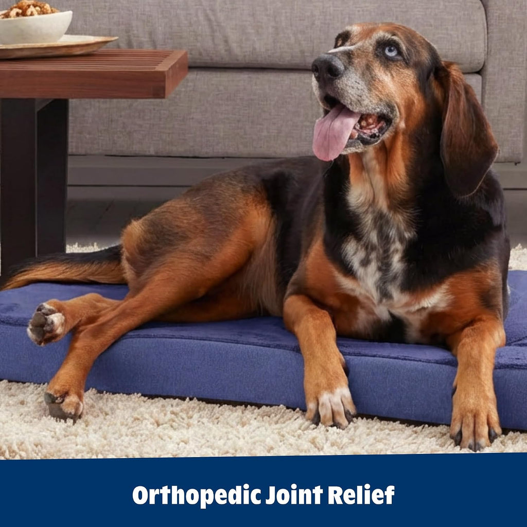 BarkBox Orthopedic Dog Bed - Medium