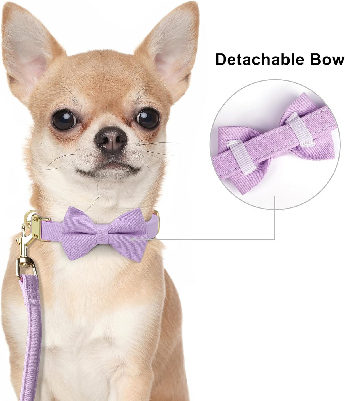 Beirui Cute Small Dog Harness Collar and Leash Set, Purple,XXS,Chest 12-14"