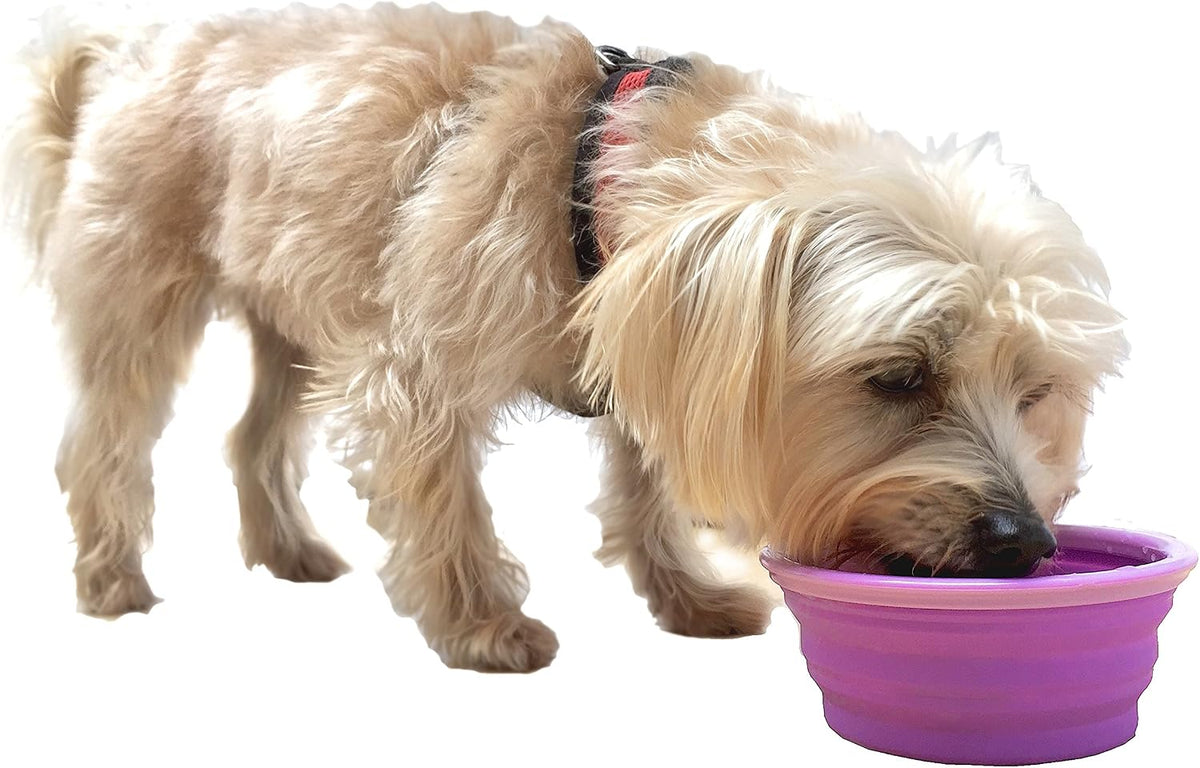 Prima Pet Collapsible Silicone Food and Water Travel Bowl with Clip for Dog and Cat, Small (1.5 Cups) 