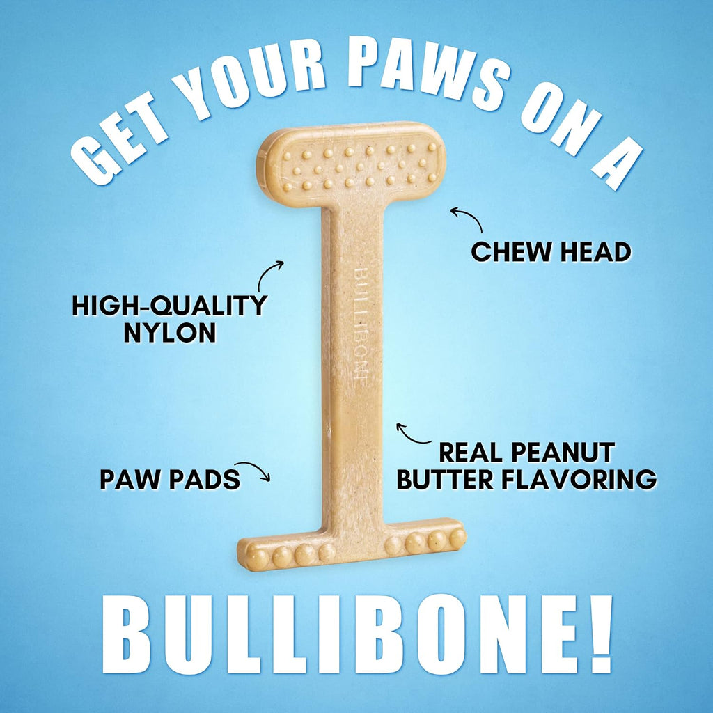 Bullibone Nylon Dog Chew Toy for Aggressive Chewers - Dental Hygiene Bone with Peanut Butter Flavor, Durable Tough Chew Toys for Large Dogs, Indestructible Dog Bone - Single