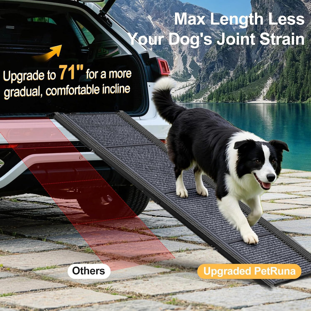 Dog Ramp for Car Truck Sturdy 71" L × 17.2" W Extra-Long Foldable