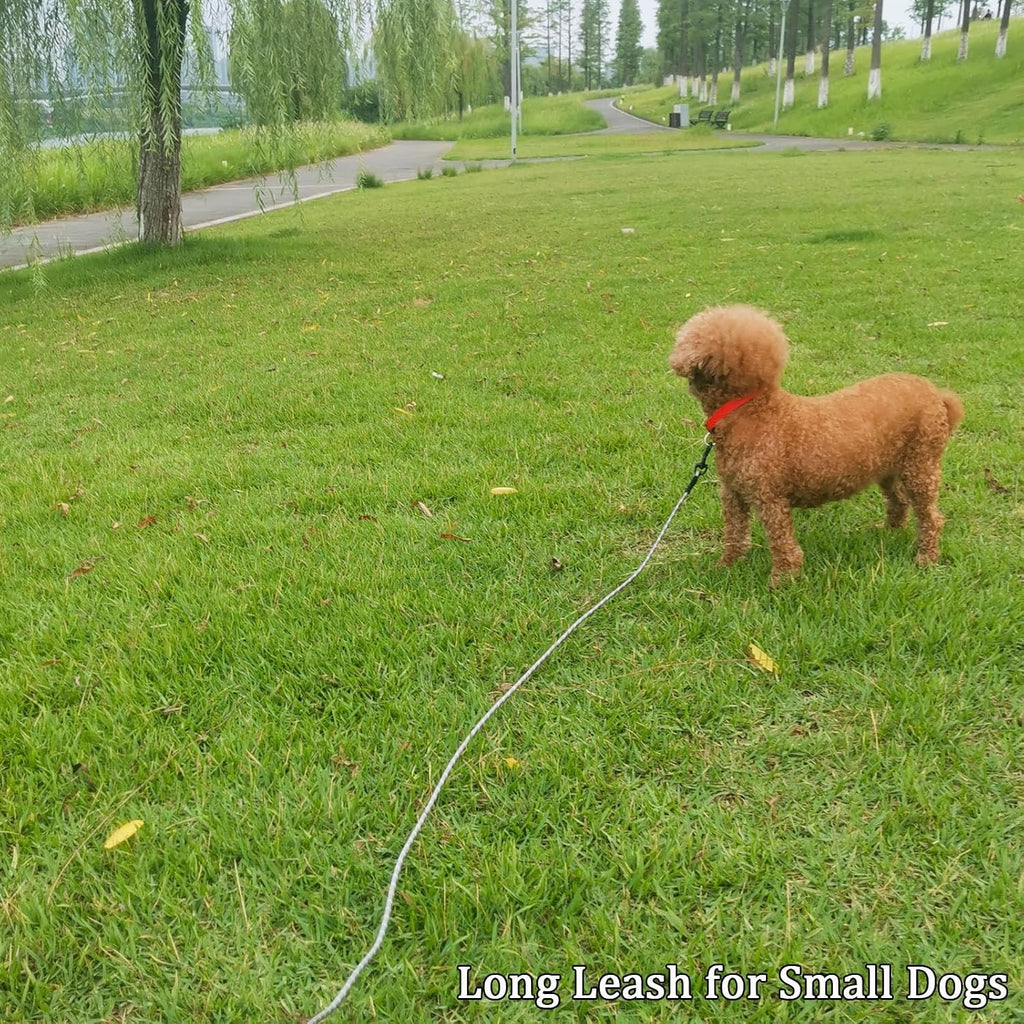 WYuZe 1/5" Reflective Extra Small Dog Leash 10ft Lightweight Rope Cat Leash