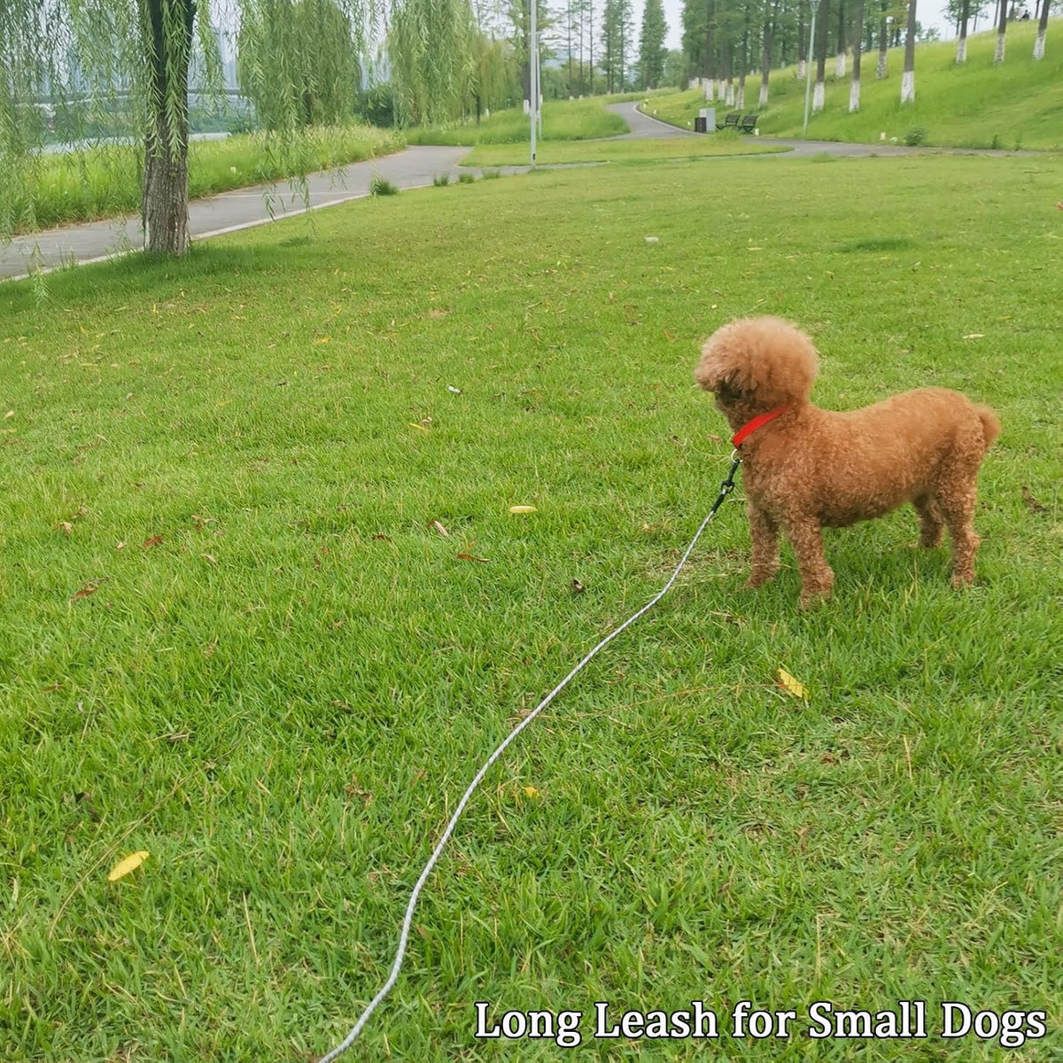 WYuZe 1/5" Reflective Extra Small Dog Leash 10ft Lightweight Rope Cat Leash