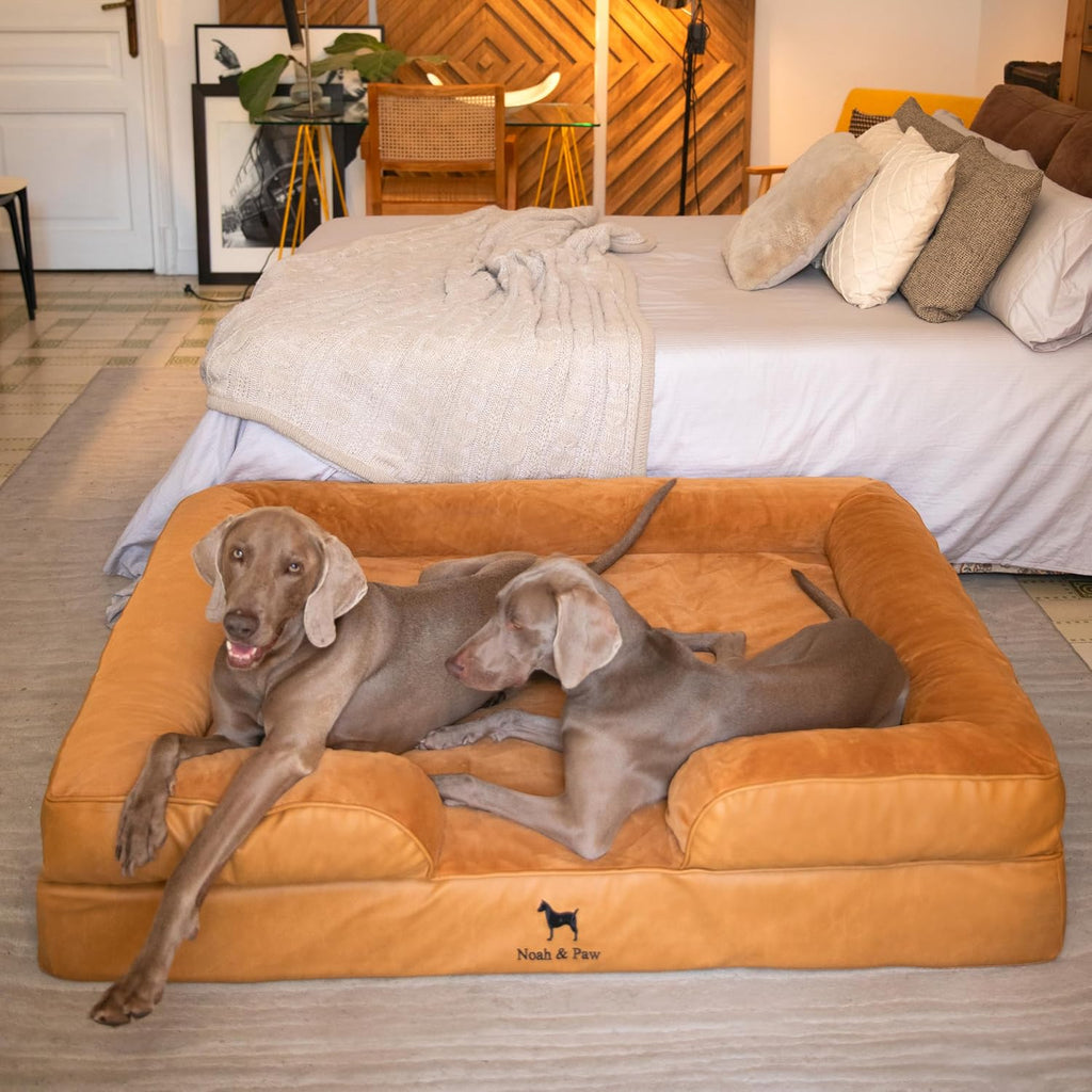 NOAH & PAW XXL Dog Bed, Orthopedic Memory Cooling Foam (2X Base) 55x45x11in