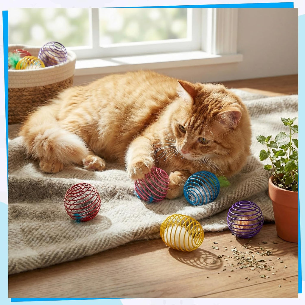 Jecery 5 Pcs Cat Toys Spring,Feathered Radish,Multicolor