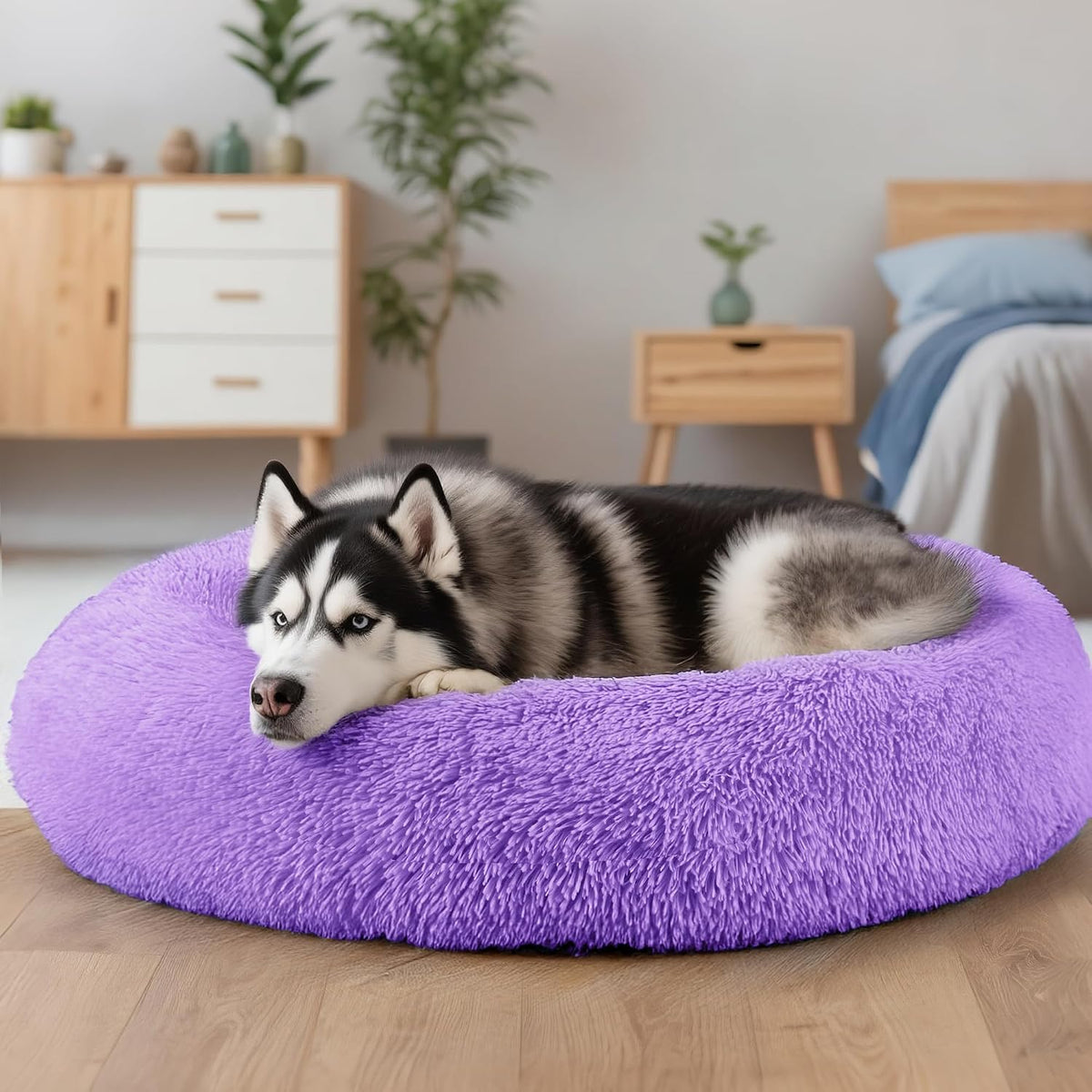 Extra Large Dog Beds, 36in Human Dog Anxiety Relief Comfort Bed (Purple)