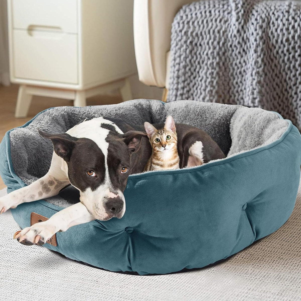 Asvin Medium Dog Bed for Medium Dogs, Cat Beds for Indoor Cats, Pet Bed for Puppy and Kitty, Extra Soft & Machine Washable with Anti-Slip & Water-Resistant Oxford Bottom, Teal, 25 inches