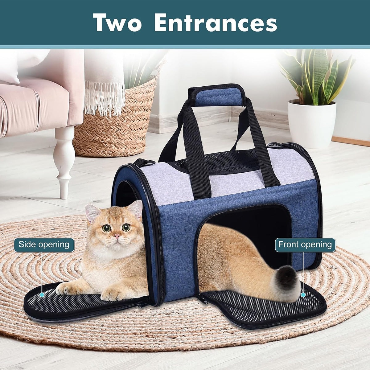 Jespet Airline Approved Soft-Sided Kennel Pet Carrier for Small Dogs Cats
