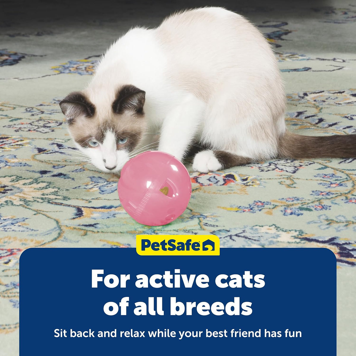 PetSafe Slimcat Feeder Ball Cat Toy, Pink, 1 Count (Pack of 6)