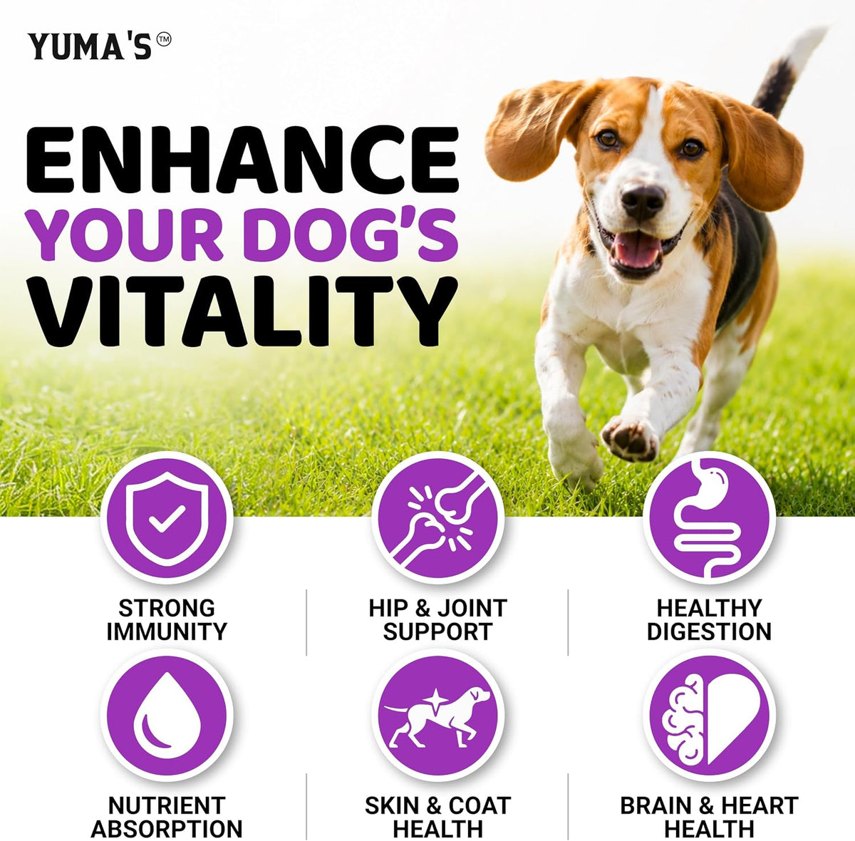 Dog Vitamins and Supplements, 240 Treats, Dog Multivitamin with Glucosamine