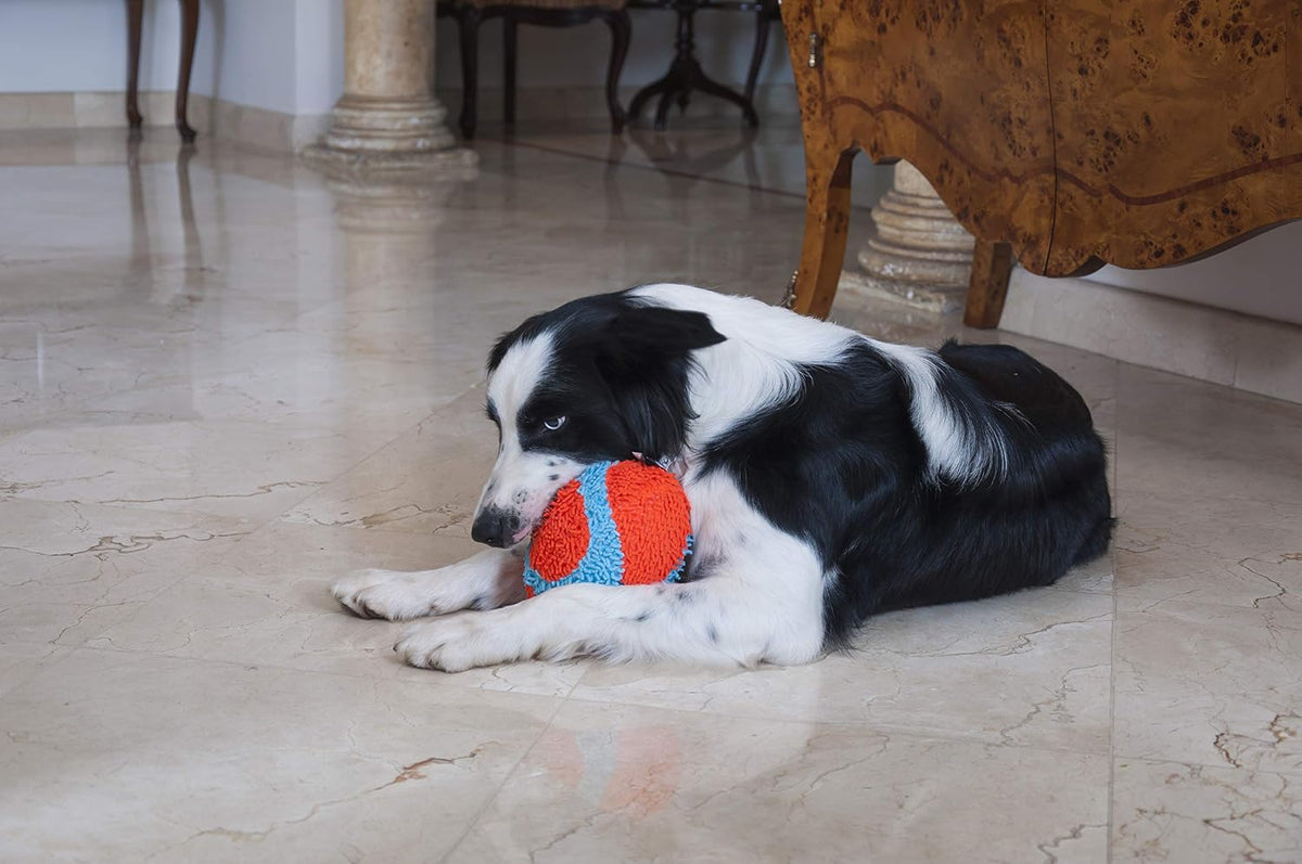 Chuckit! Indoor Fumbler Roller Dog Toy, Orange and Blue, 7.5in | Interactive Dog Toy for Boredom, Indoor Fumbler Roller Toy for Dogs, Orange and Blue, Sized at 7.5 In
