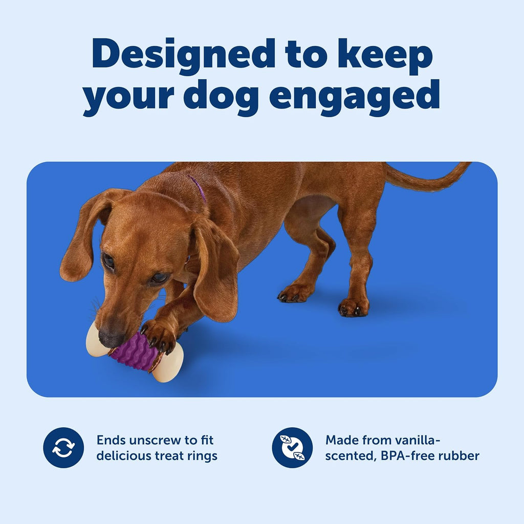 PetSafe Busy Buddy Nobbly Nubbly Treat Holding Dog Chew Toy, Medium