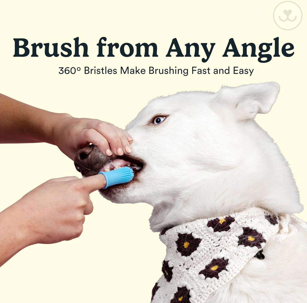 Jasper Dog Toothbrush, 360° Finger Toothbrush for Dogs & Cats, Pink 2-Pack | 12x More Bristles, Teeth Cleaning Kit for Small & Large Pets, Toothpaste Not Included, Fights Bad Breath, Extra Soft Silicone 