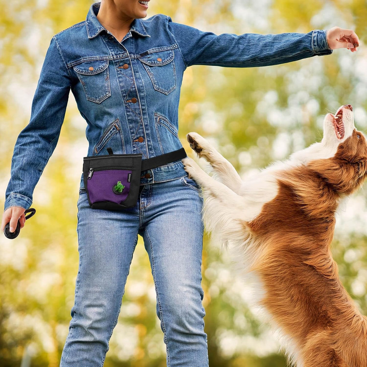 Gobeigo 2 Cup Dog Treat Pouch with Training Clicker(Black/Purple)