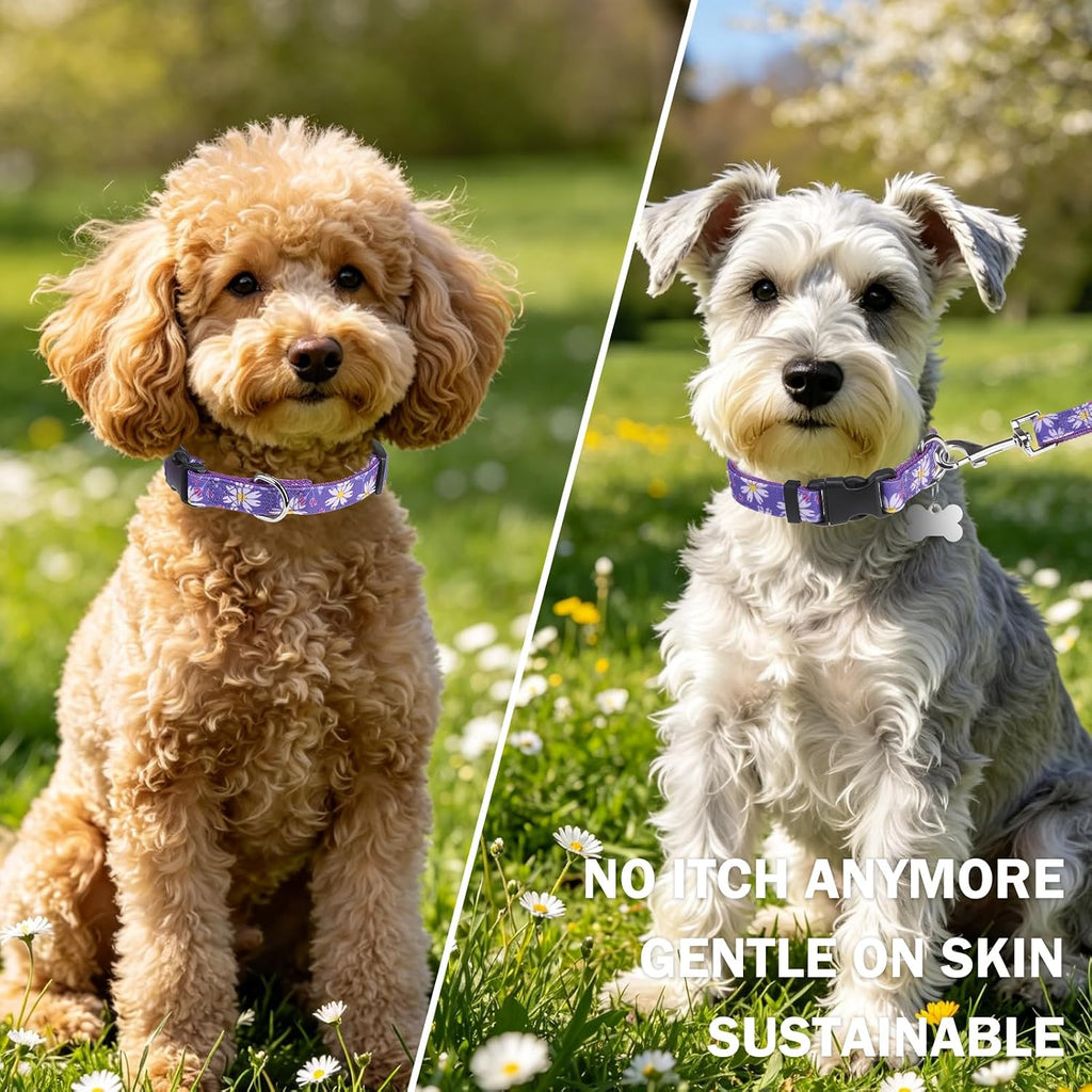 Dog Collar and Leash Set, Adjustable Pet Collars with 5FT Leash