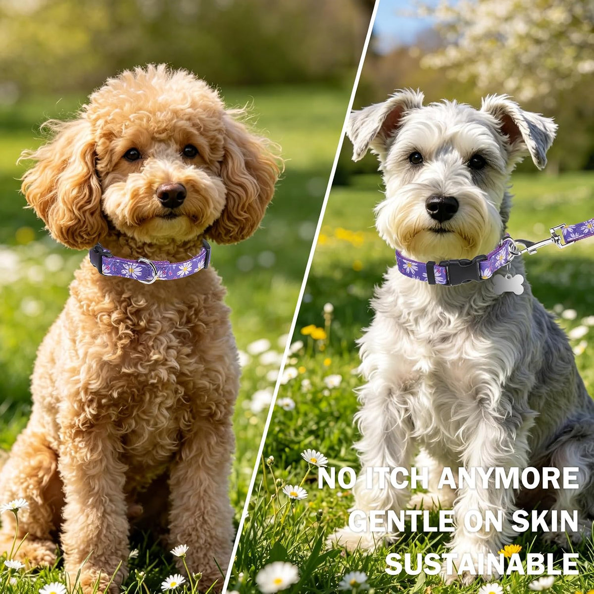 Dog Collar and Leash Set, Adjustable Pet Collars with 5FT Leash