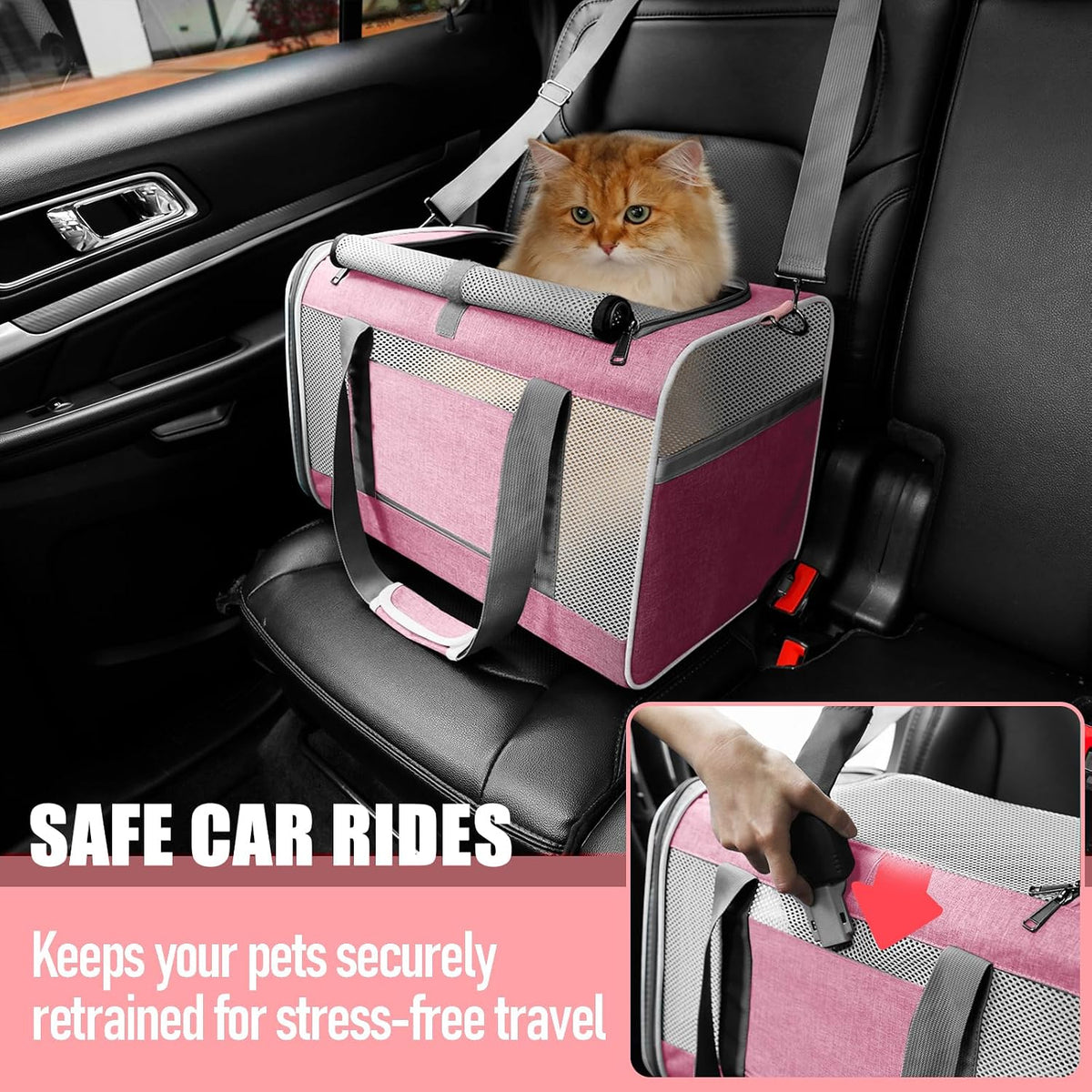 GAPZER Large Cat Carrier Soft, Collapsible Travel Pet Carry Bag, Small Dogs