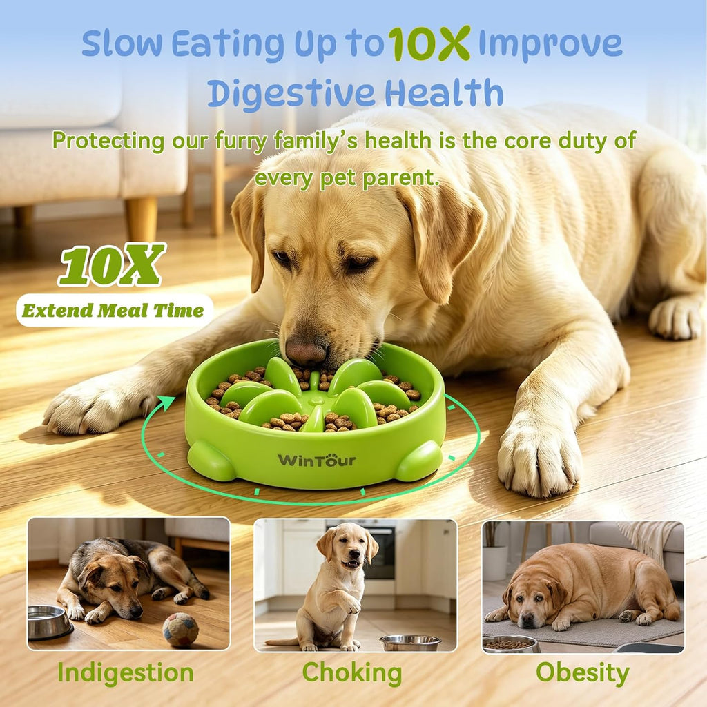 WinTour 2 Pack Slow Feeder Dog Bowls, BPA Free, Medium & Small Dog Bowls