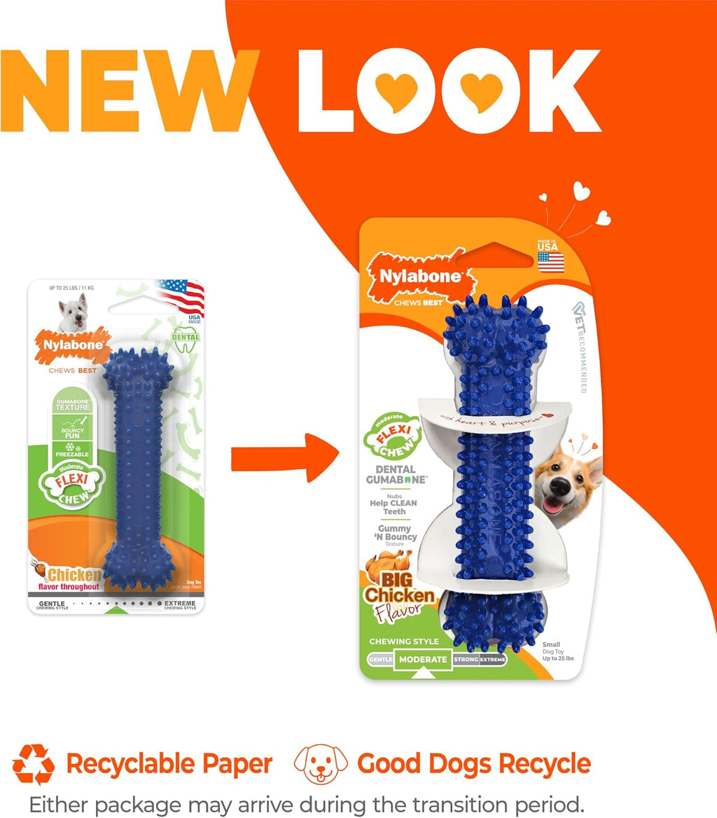 Nylabone Flexi Chew Dental Gumabone Dog Chew Toy, Chicken Flavor, Small