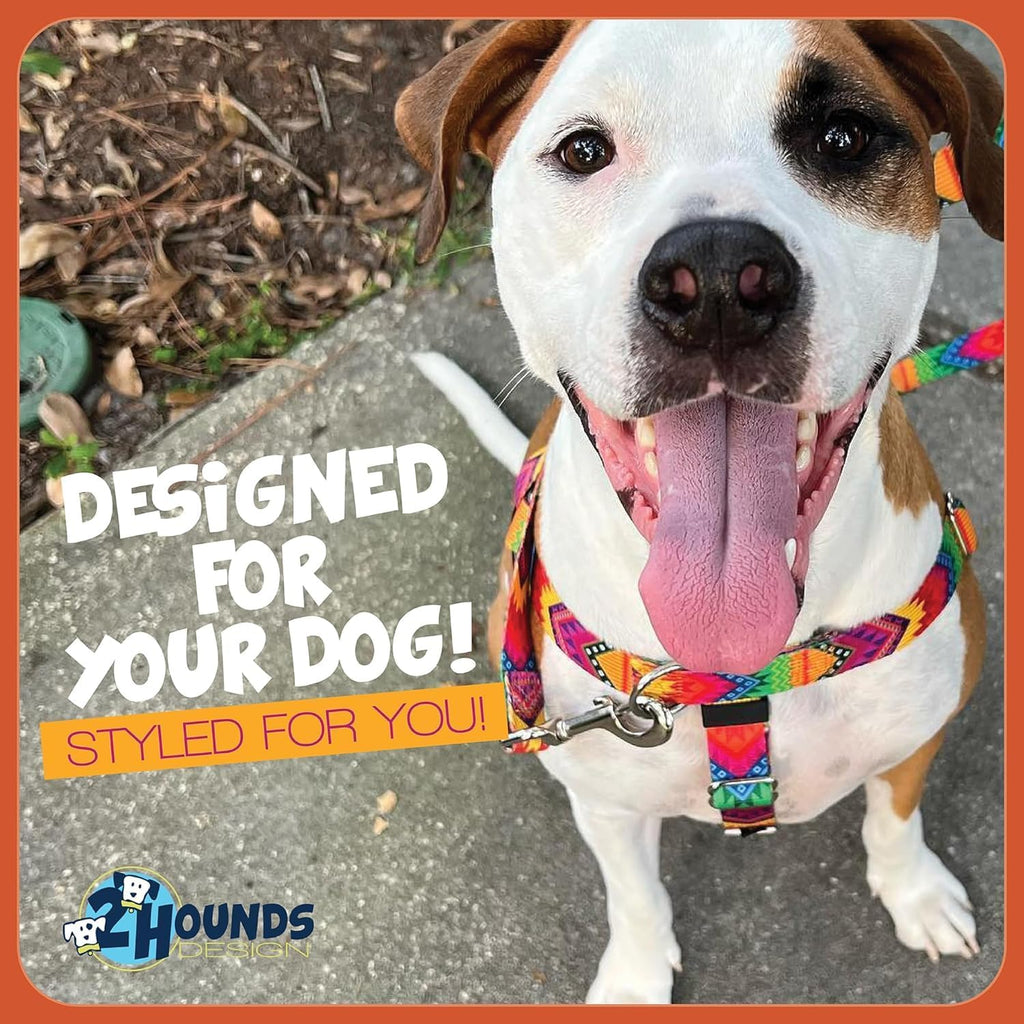2 Hounds Design Freedom No Pull Dog Harness and Leash, 1" LG, Teal