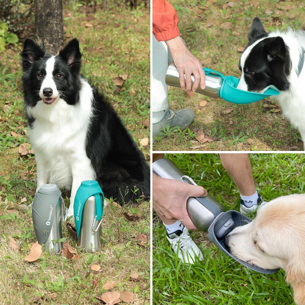 LumoLeaf Portable Dog Water Bottle 27 OZ, Stainless Steel Pet Travel Water Bottle Dispenser for Walking, Hiking and Outdoor, Portable Water Bowl for Large Dogs (Green)