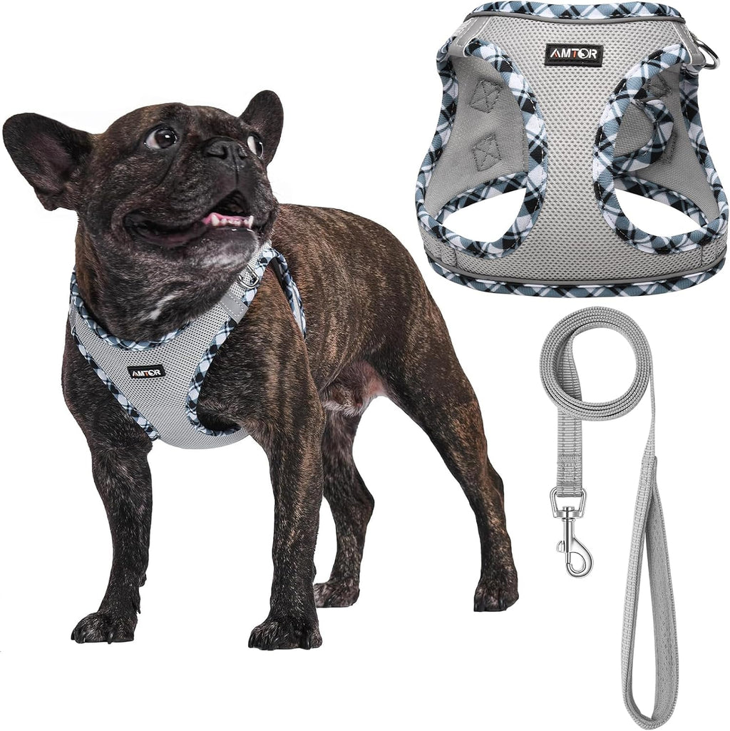AMTOR Small Dog Harness with Leash Set, No Escape Easy Walk Puppy Harnesses for Training Walking, Step-in Reflective Soft Dogs Vest for XS S Medium Extra-Small Large Sized Dog(Grey,XXS)