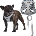 AMTOR Small Dog Harness with Leash Set, No Escape Easy Walk Puppy Harnesses for Training Walking, Step-in Reflective Soft Dogs Vest for XS S Medium Extra-Small Large Sized Dog(Grey,XXS)