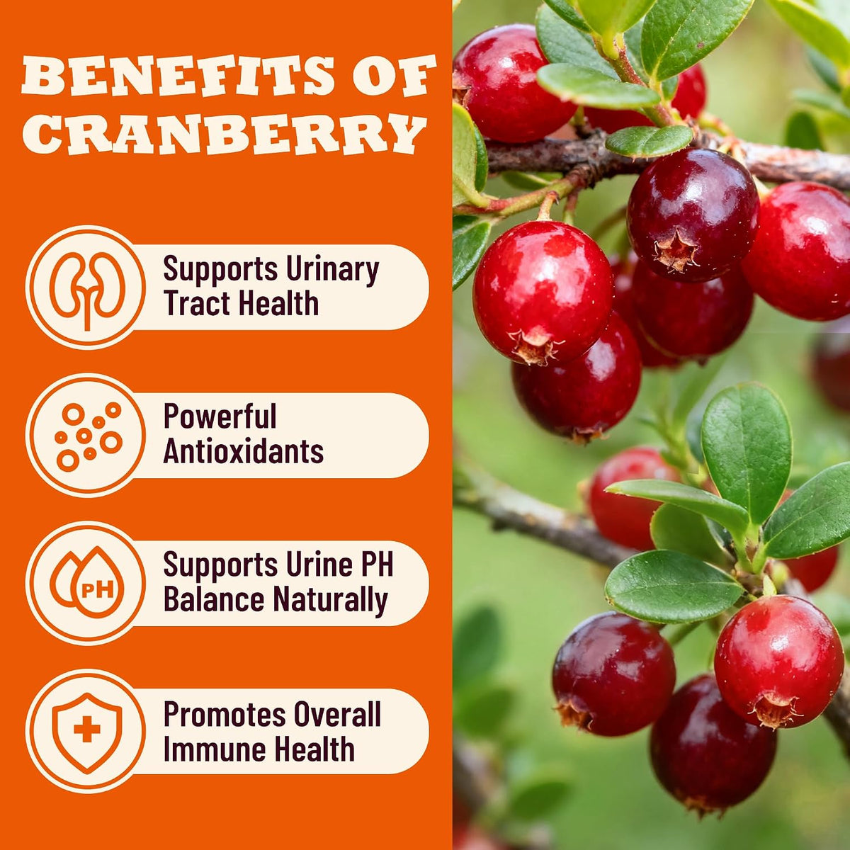 Cranberry Cat Treats for Urinary Tract, Chicken Flavor, 13.05oz