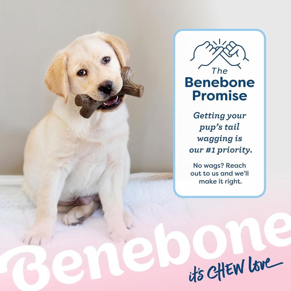 Benebone Dog Chew Toys for Gentle Chewers, Dog Bones, Small, Puppy (Pack of 32)