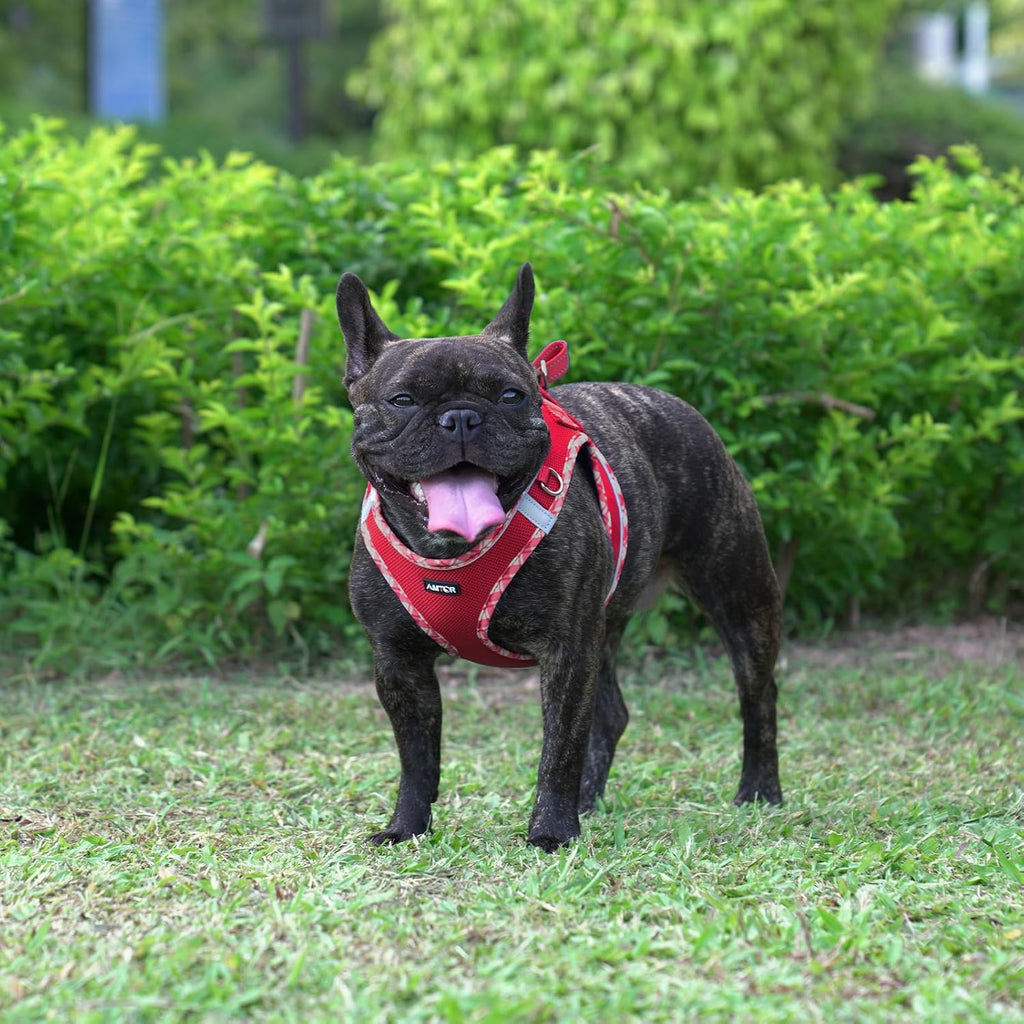 AMTOR Small Dog Harness with Leash Set, No Escape Easy Walk Puppy Harnesses for Training Walking, Step-in Reflective Soft Dogs Vest for XS S Medium Extra-Small Large Sized Dog(Red/White,S)